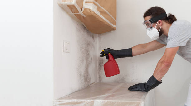 Professional Mold Removal technician working in McLean, TX
