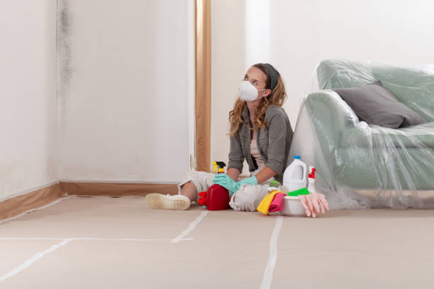 Reliable Mold Removal contractor in McLean, TX by WQB Mold Removal